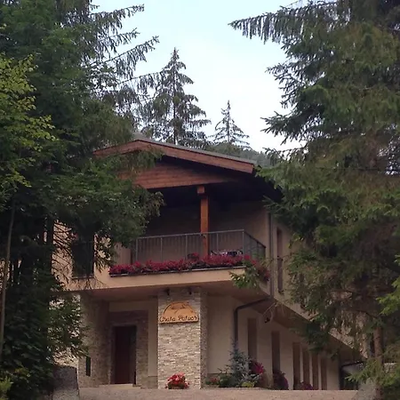 Holiday home Chata Patuch *