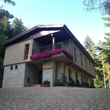 Chata Patuch Holiday home Babkov