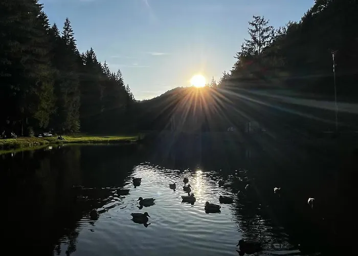 Hébergement de vacances Patuch *