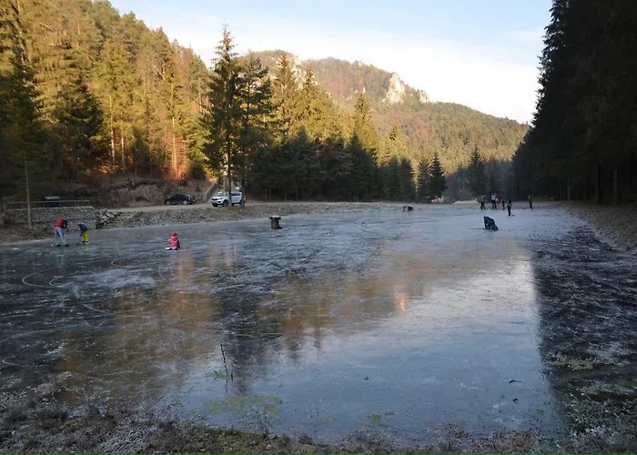 Hébergement de vacances Patuch Babkov