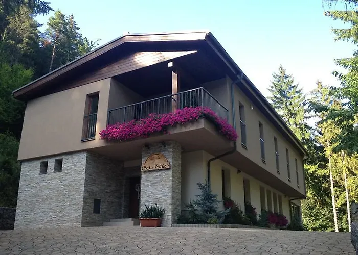 Patuch Hébergement de vacances Babkov