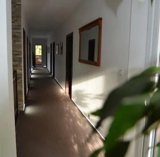 Hébergement de vacances Patuch